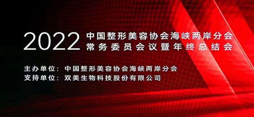 2022中国整形美容协会海峡两岸分会常务委员会议暨年终总结会